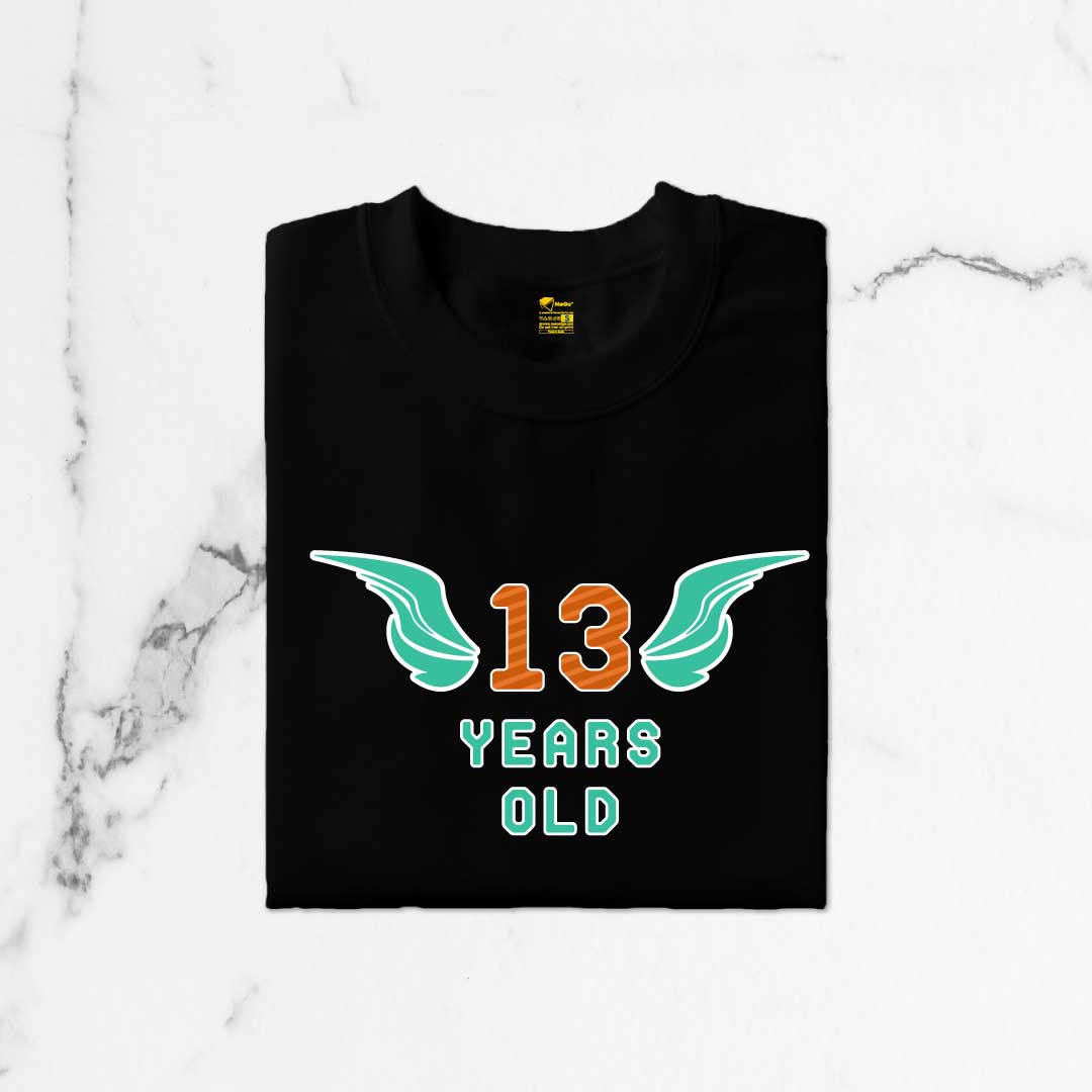 13 Years Old T-Shirt