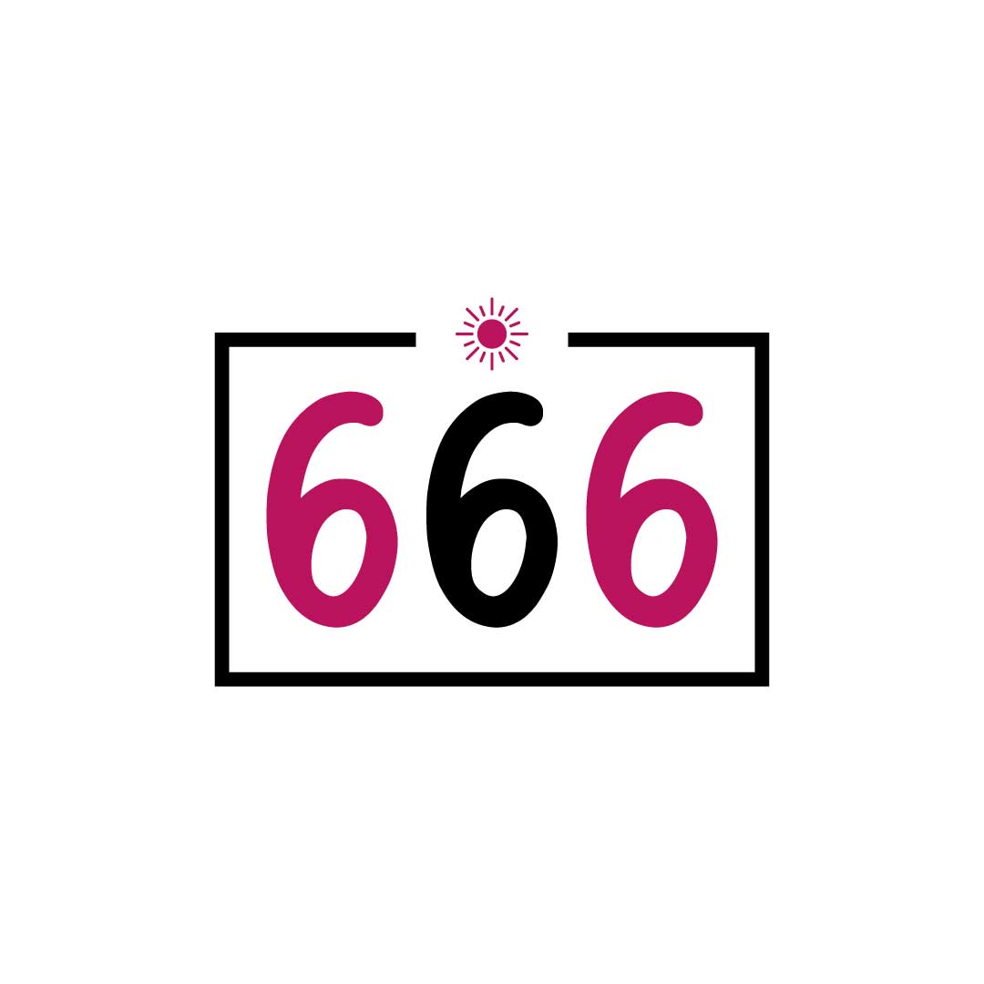 666 Number T-Shirt